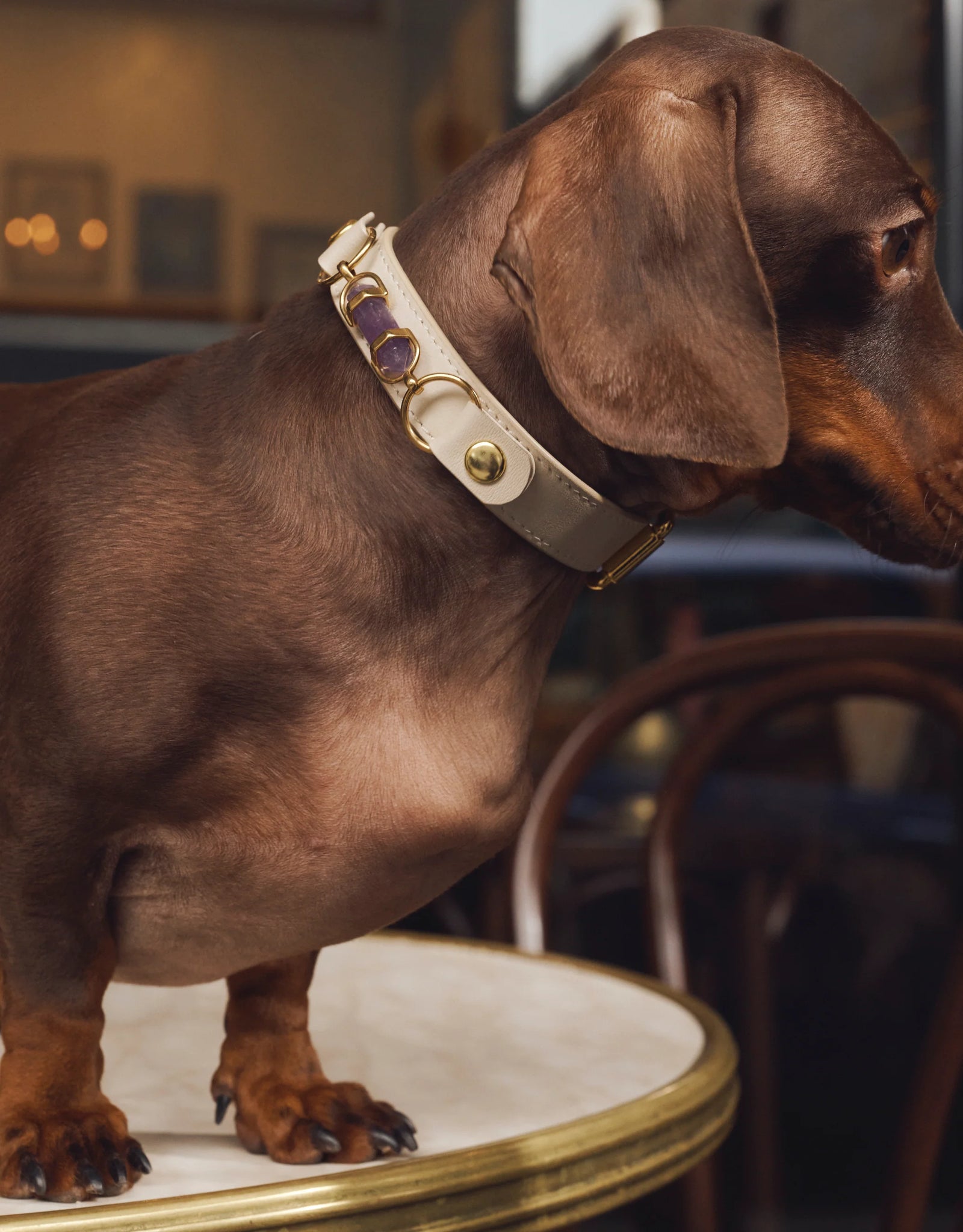 AURA ANIMALE - SOUL DOG COLLAR - CREAM