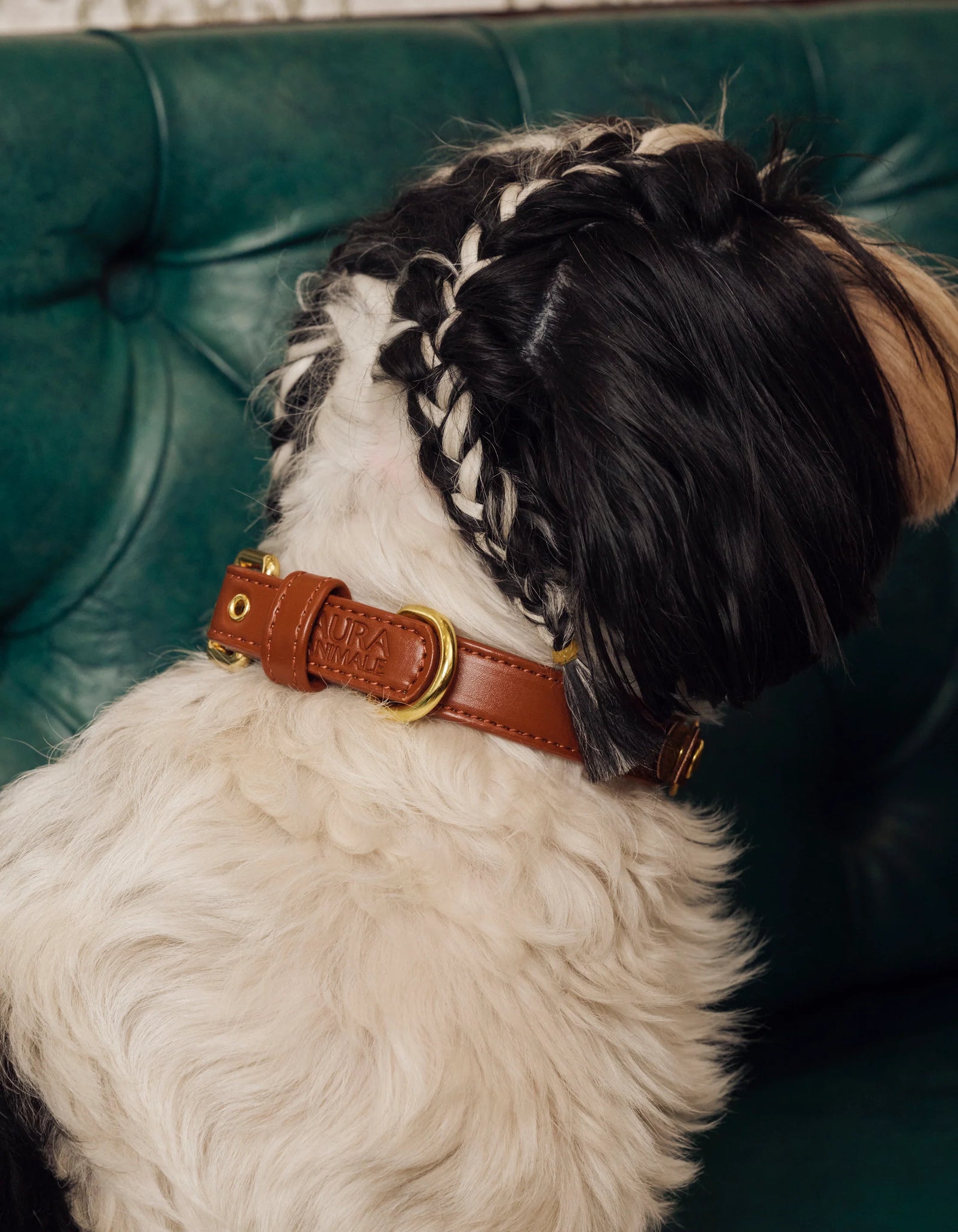 AURA ANIMALE - SOUL DOG COLLAR - CHESTNUT