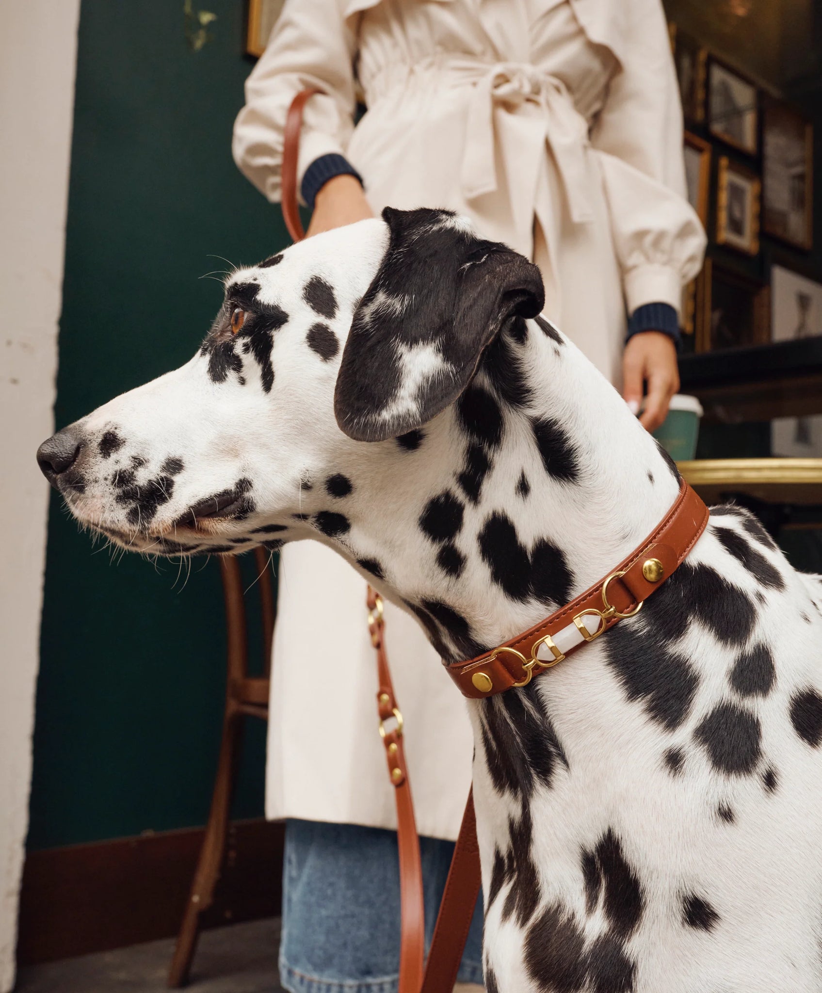 AURA ANIMALE - SOUL DOG COLLAR - CHESTNUT