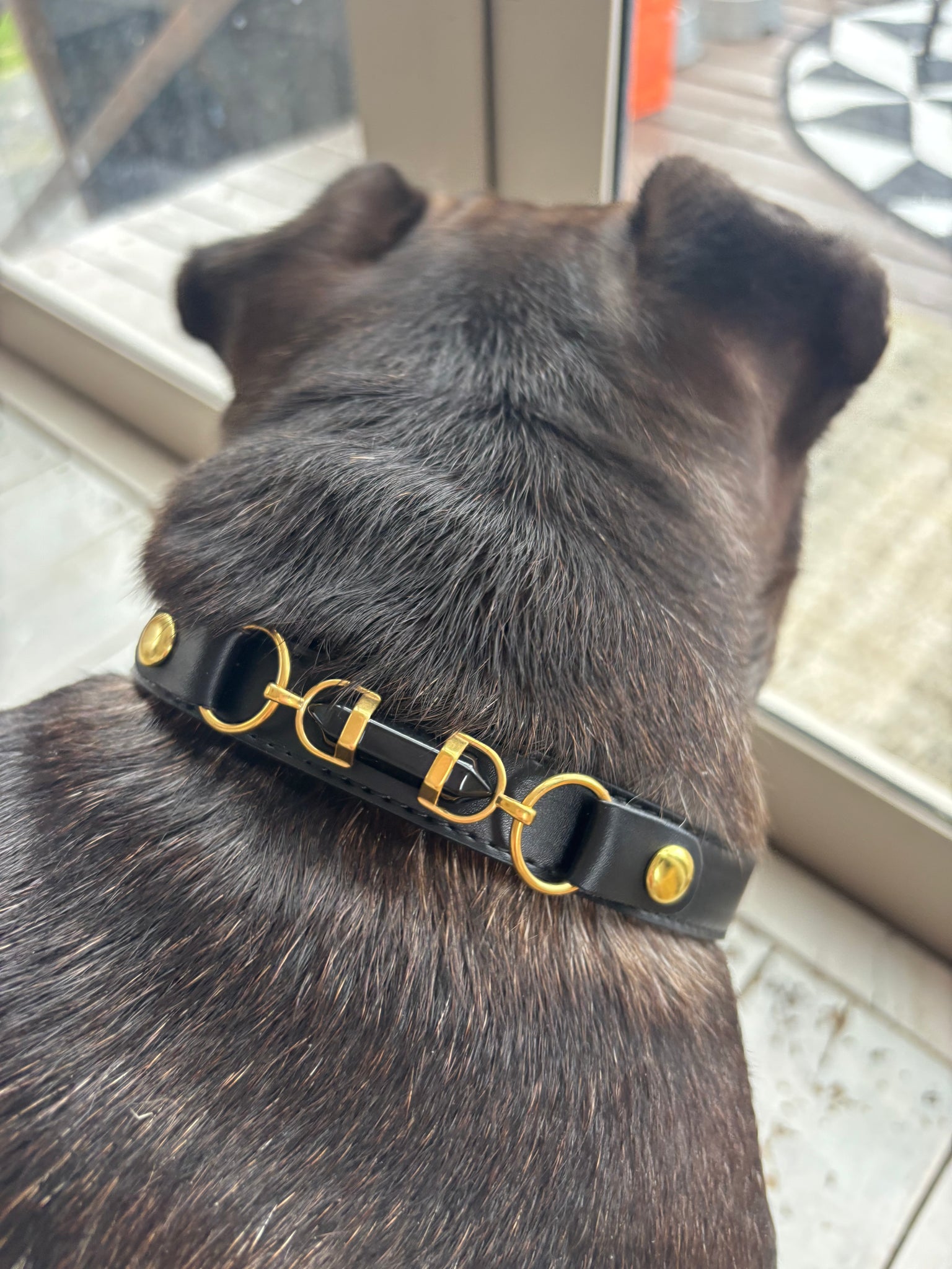 Black Obsidian Aura Charm and Collar The Luxe Edit 1050
