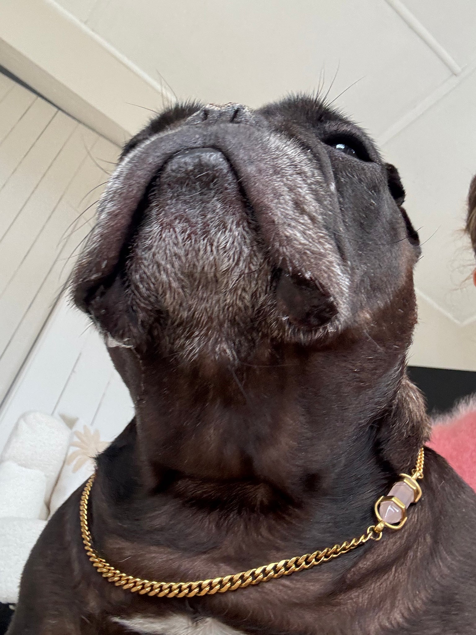 Pink Quartz Aura Charm The Luxe Edit OBV Aura Animale
